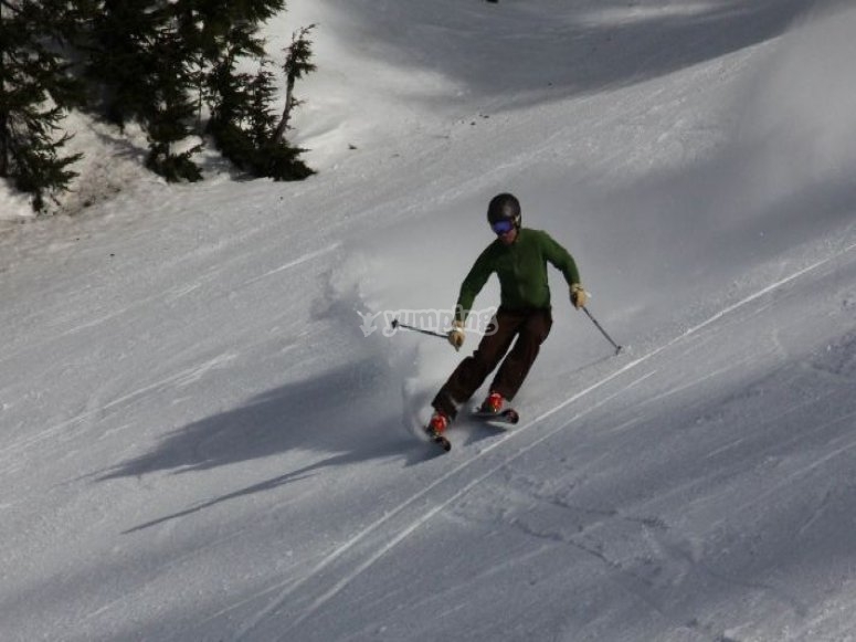 Enjoying the skis to their full potential /tb_Downhill skiing.jpg